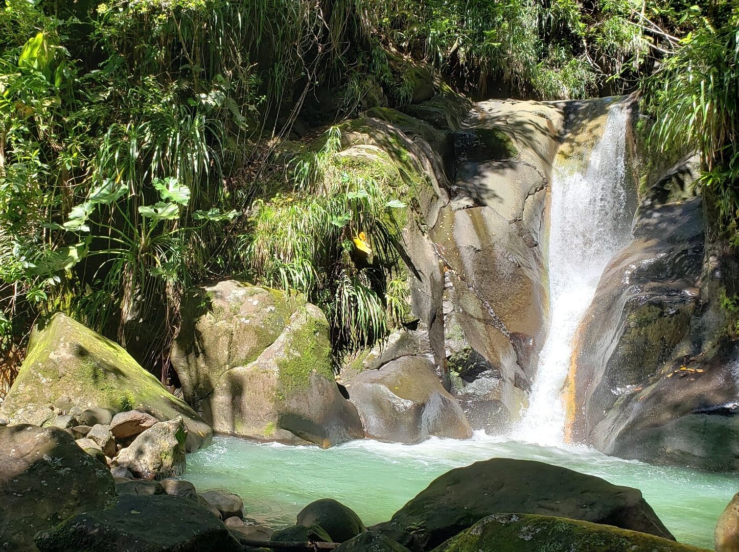 Canyoning en Guadeloupe: Aventure Nature avec Vert-Intense, pionnier depuis 1995