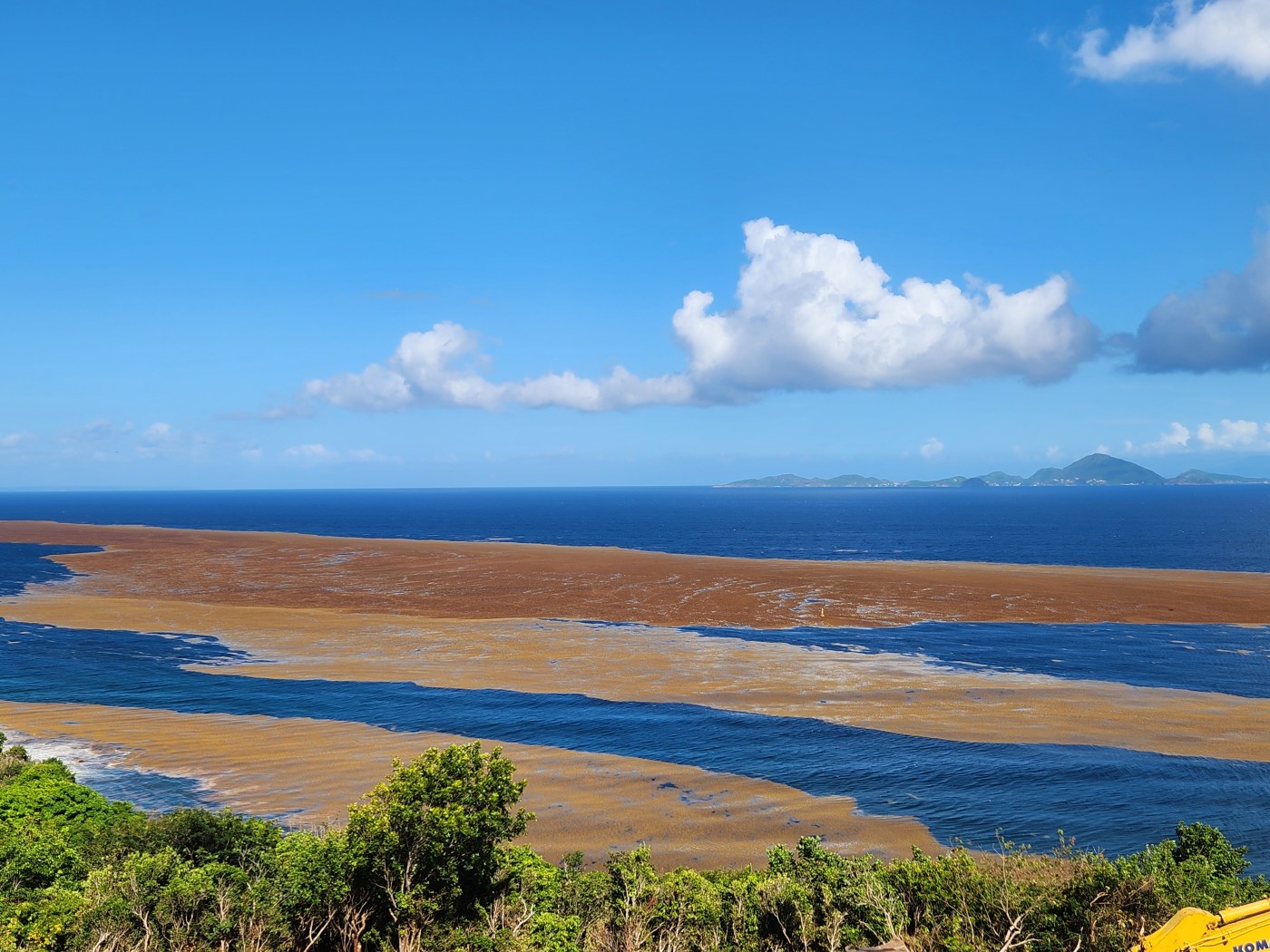 Les sargasses dans le monde et en Guadeloupe : comprendre le phénomène et continuer de rêver.