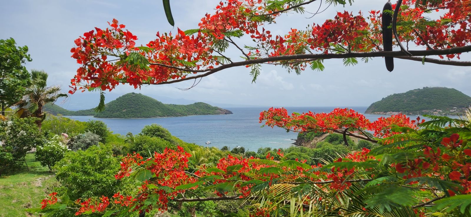 Les 5 plus belles criques cachées des Saintes accessibles en bateau