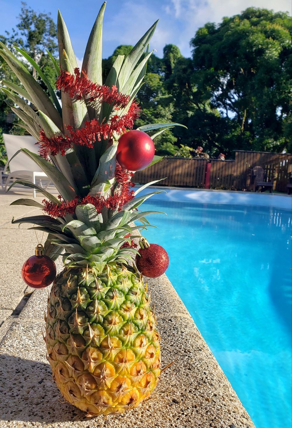 Noël en Guadeloupe : une fête créole aux parfums tropicaux